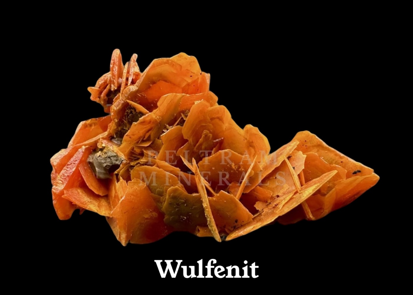 Wulfenit